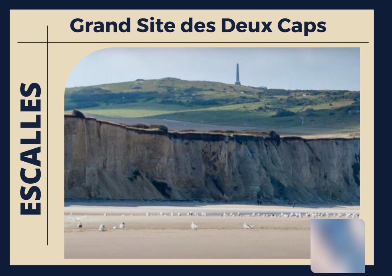 * Le Droma D'Or * Appartement Confort * Centre-Ville Καλέ Εξωτερικό φωτογραφία